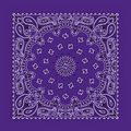 Standard Imported Purple Paisley Bandanna